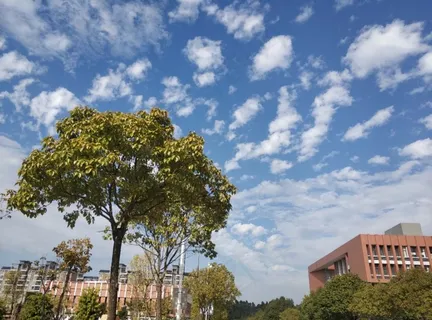 蓝天白云树木建筑风景