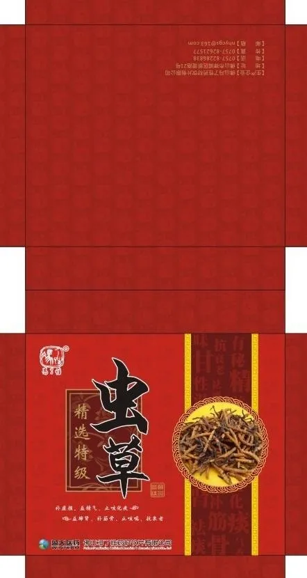 虫草cdr矢量模版下载