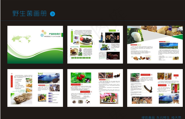 纯天然野生画册图片cdr矢量模版下载