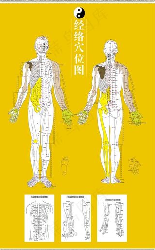 中医络穴位图图片