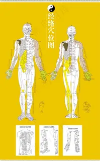中医络穴位图图片 中医络穴位图图片