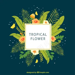 热带标签与异国情调的绿叶