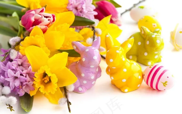 鲜花图片