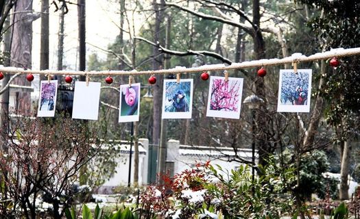 梅花摄影照片图片