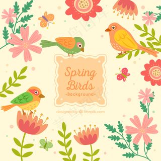 可爱的春天鸟背景