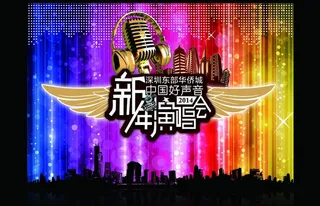 中国好声音 新年演唱图片