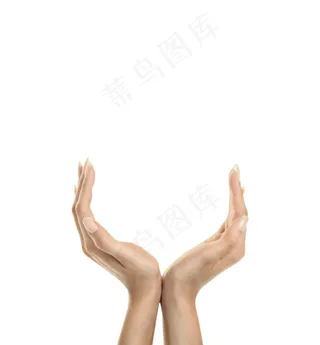 美丽的双手托起