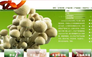 菇菌生物科技公司网页模板