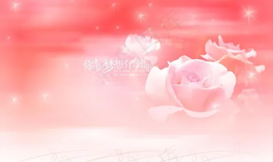 粉红色玫瑰图片