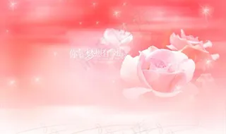 粉红色玫瑰图片
