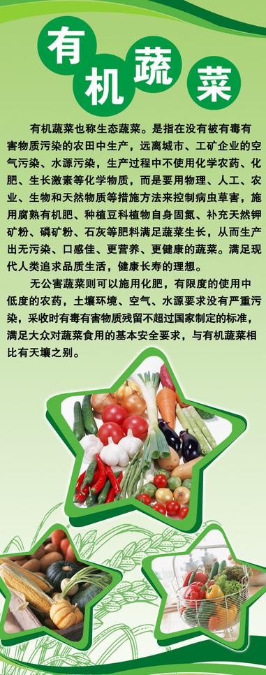 有机绿色蔬菜展板图片(2126X4961(DPI:90))psd模版下载