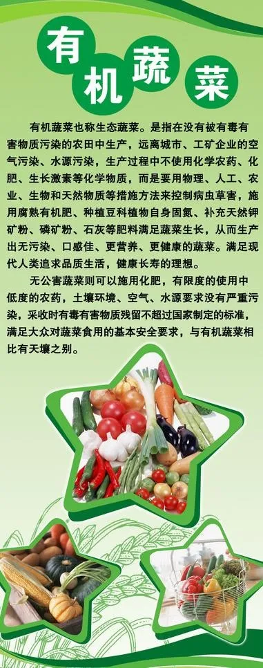 有机绿色蔬菜展板图片(2126X4961(DPI:90))psd模版下载