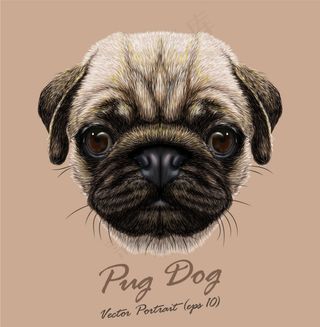 逼真的狗脸背景矢量素材