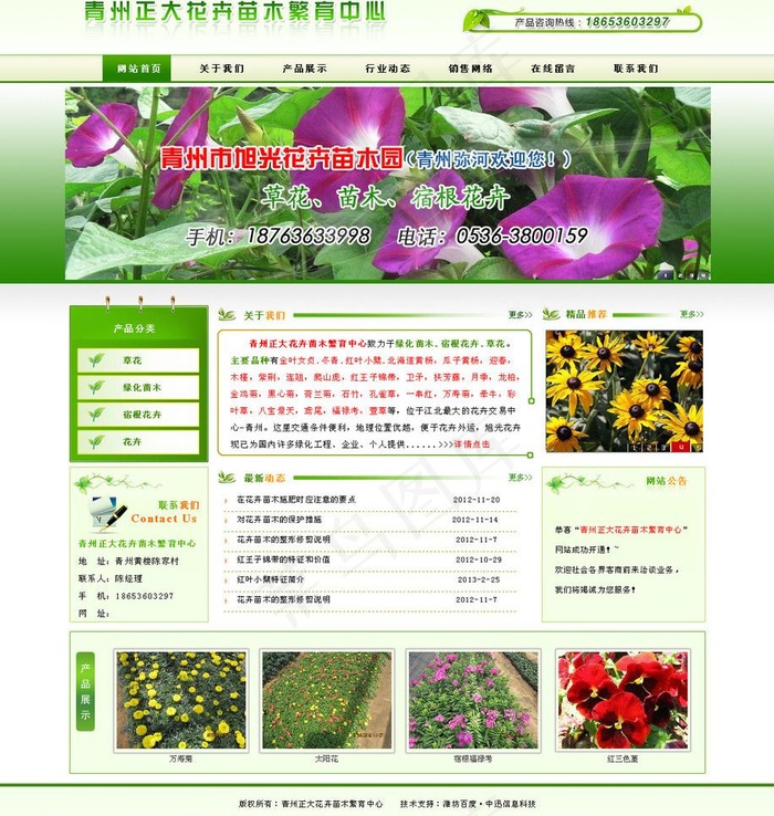 正大花卉苗木图片psd模版下载
