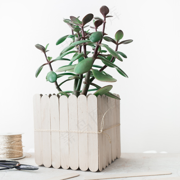 简约小清新文艺风插花静物摆拍背景