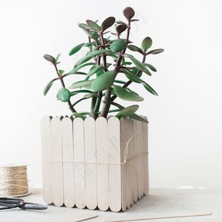 简约小清新文艺风插花静物摆拍背景