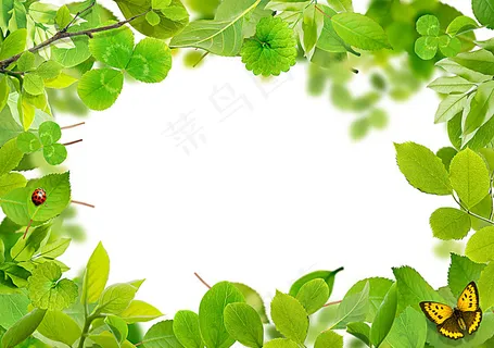 树叶 边框图片 树叶 边框图片
