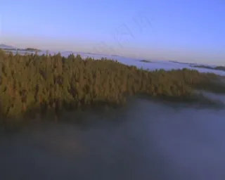 晨曦草原雾气景色视频素材下载