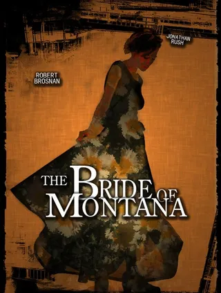 提包女人的海报图片