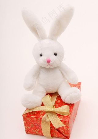毛绒玩具兔子 礼物盒 节日图片