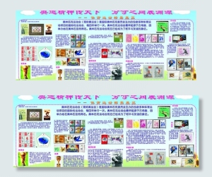 体育邮票的知识图片