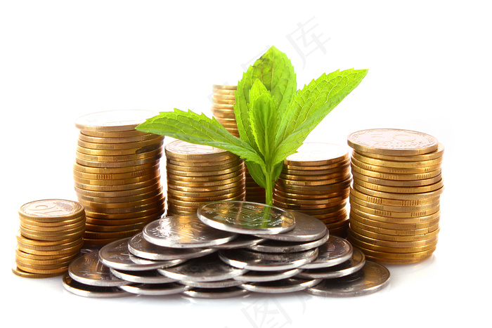 金币嫩芽小树苗孵化培育理财商务金融财富主题素材