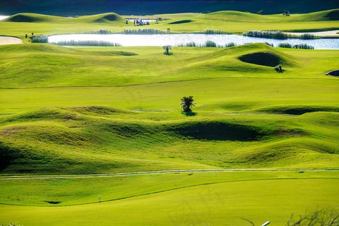 高尔夫球场草坪风景
