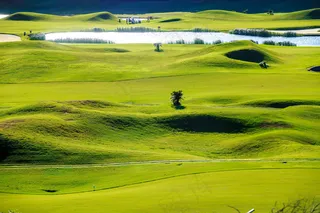 高尔夫球场草坪风景