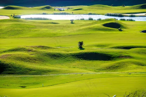 高尔夫球场草坪风景 高尔夫球场草坪风景