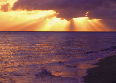 黄昏下的海滩图片