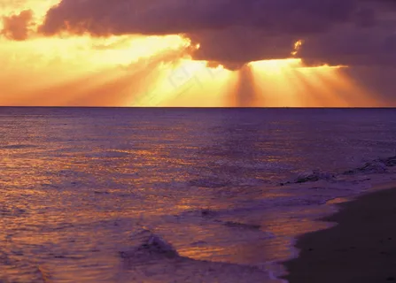 黄昏下的海滩图片