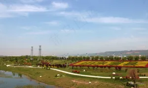 眉县渭河湿地公园图片
