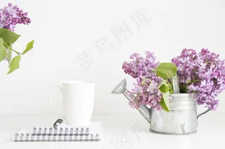 简约小清新文艺风插花静物摆拍背景