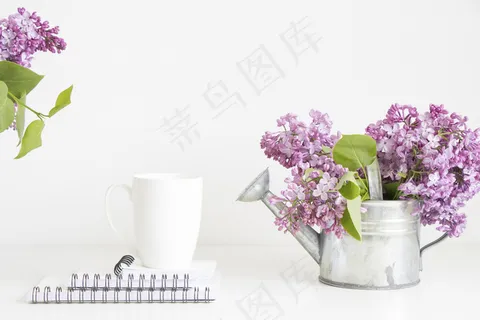 简约小清新文艺风插花静物摆拍背景 简约小清新文艺风插花静物摆拍背景