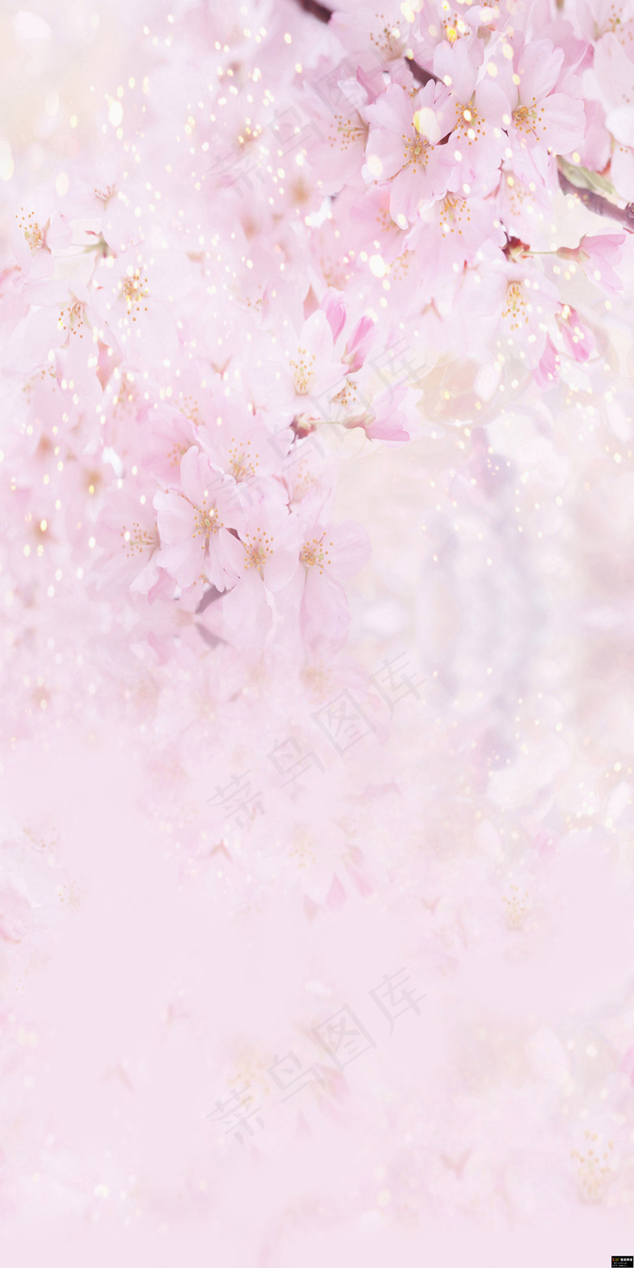 粉色高清背景图片(562)