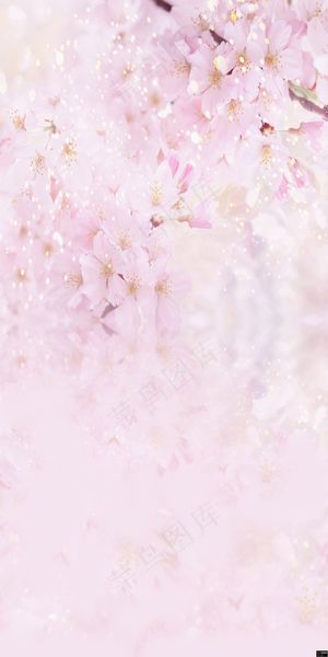 粉色高清背景图片(562)