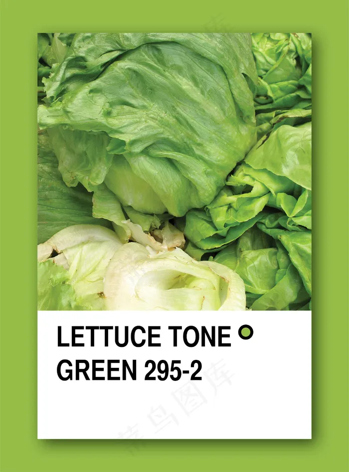 绿色生菜色调彩色样本设计