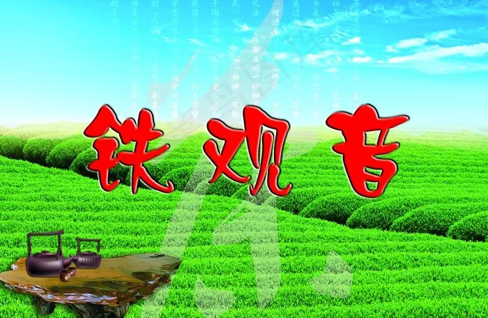 铁观音茶田图片psd模版下载