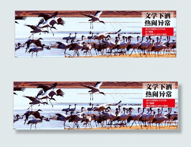 网站banner轮播大图PSD下载psd模版下载