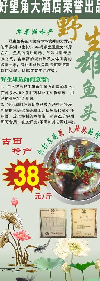 鱼头展架图片cdr矢量模版下载