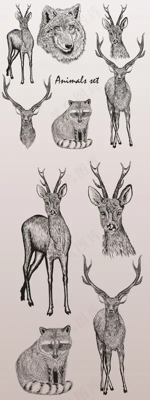 手绘素描风格麋鹿驯鹿设计元素