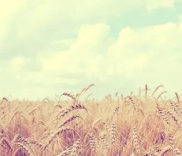 摄影作品展示网站HTML模板