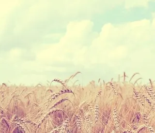 摄影作品展示网站HTML模板