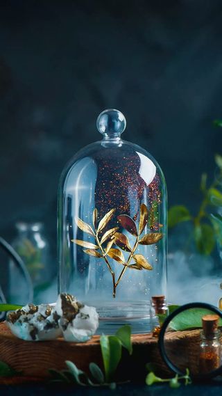 悬浮在瓶子里的枝叶高清摄影图片