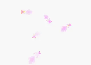 粉色的金鱼LED屏幕视频素材