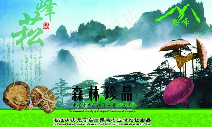 香菇包装图片psd模版下载