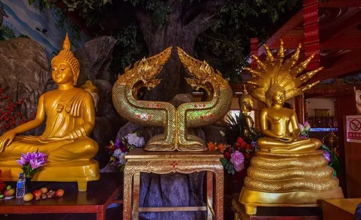 西双版纳总佛寺图片 西双版纳总佛寺图片