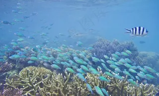 沙巴海景风光图片