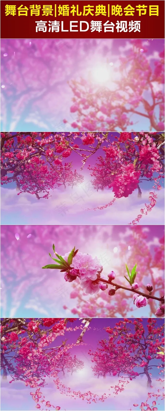 唯美梅花树动态LED背景视频
