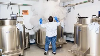 自动播放淡入淡出的幻灯片效果代码